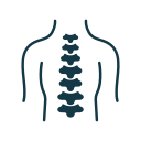 backbone